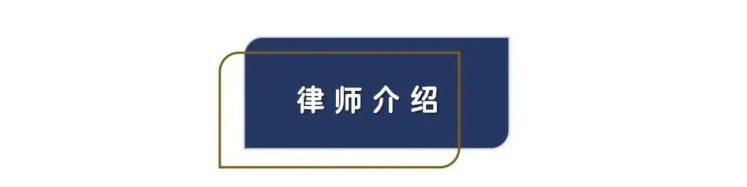 从败诉到改判:王律师二审翻盘案例精选