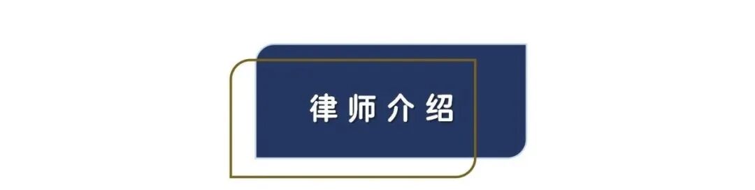 启动实质合并破产重整的法院审查要点与举证路径