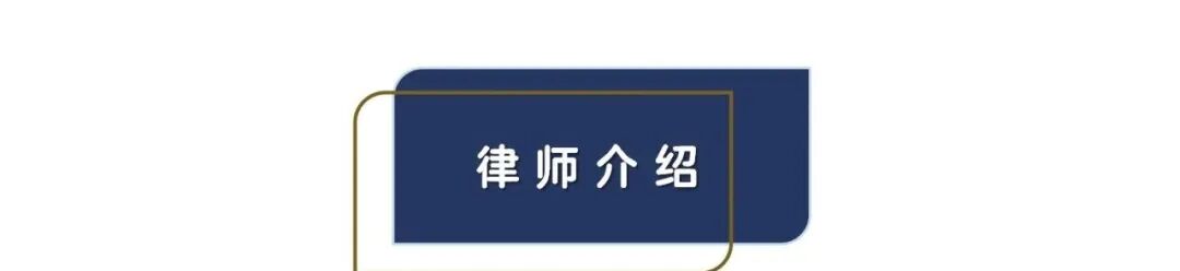 公司陷入僵局,股东如何破局?